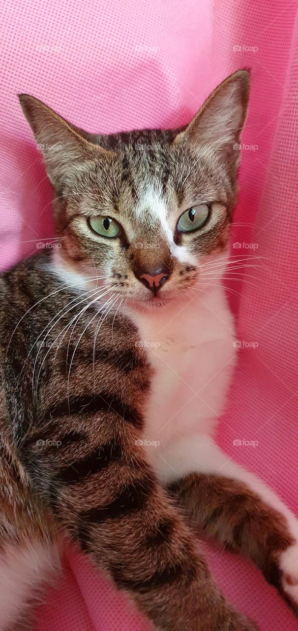 Editors' Choice : Photo of the week