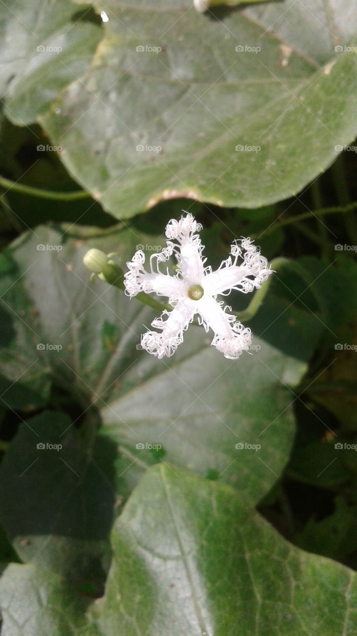 how would you be willing