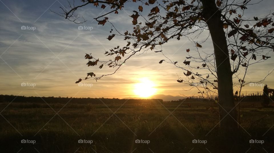 Tuscany sunset