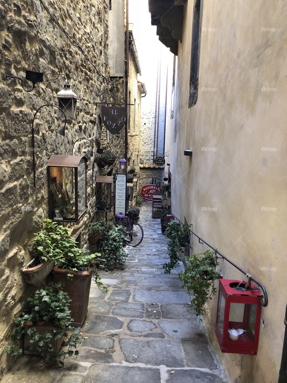 Alleyway full of greenery - Cortona, Italy