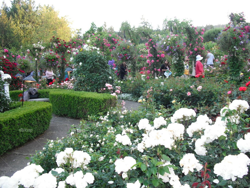 "Beautiful  experience "