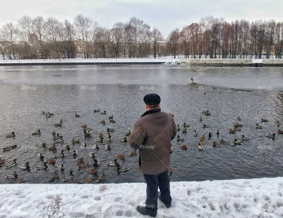 Feeding ducks.