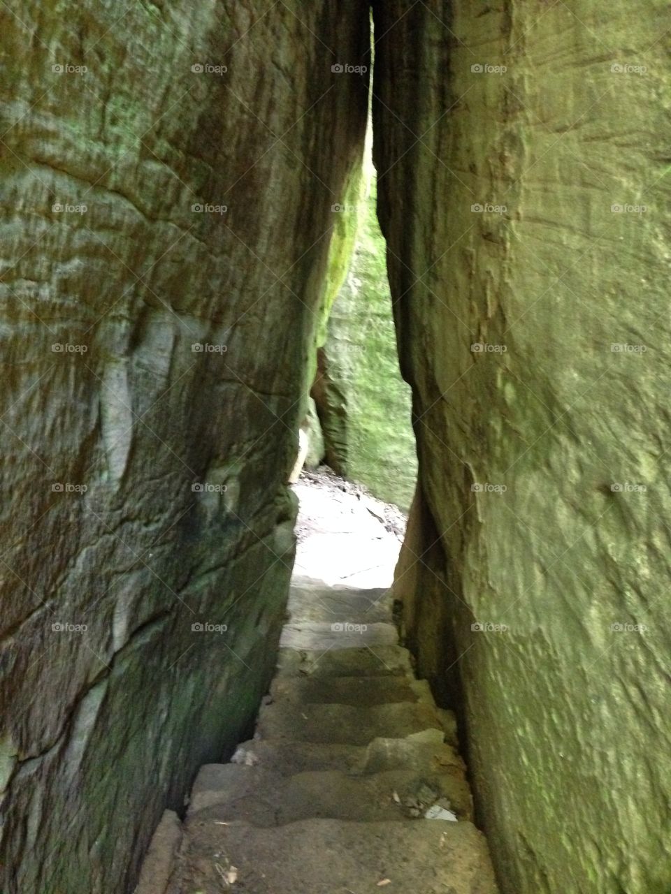 Shawnee National Forest 