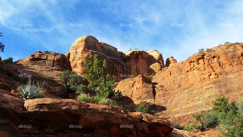 Majestic Nature. Bell Rock