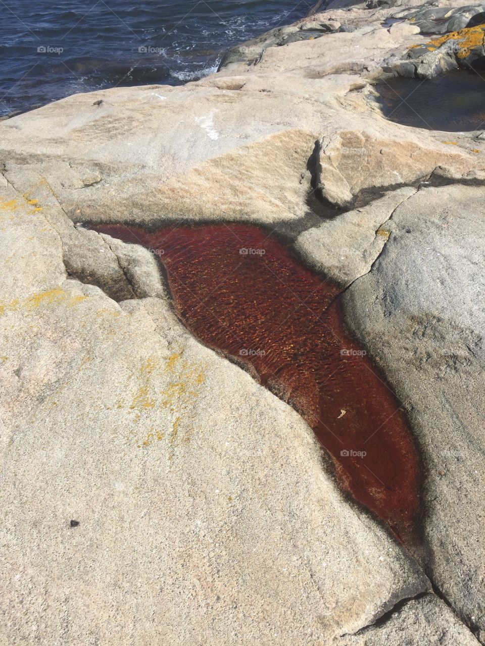 Puddle on rocks at sea