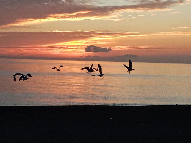 Sunrise