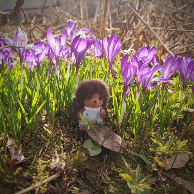 hello spring