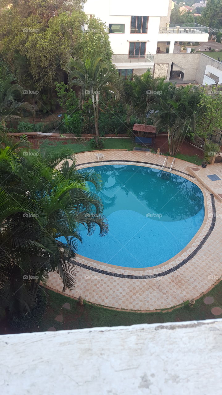 top view of swiming pool