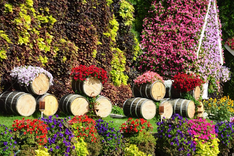 Colorful Garden Dubai