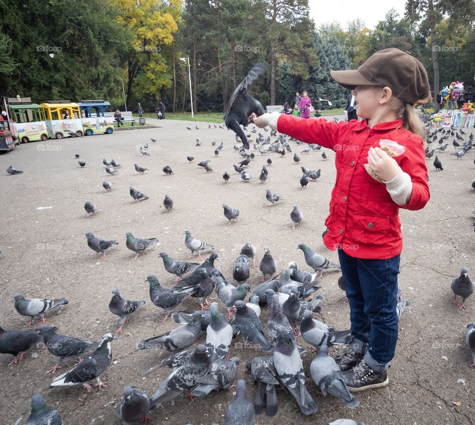 Kazakhstan-October 11 2019:Cute girl feed food to birds in the public park