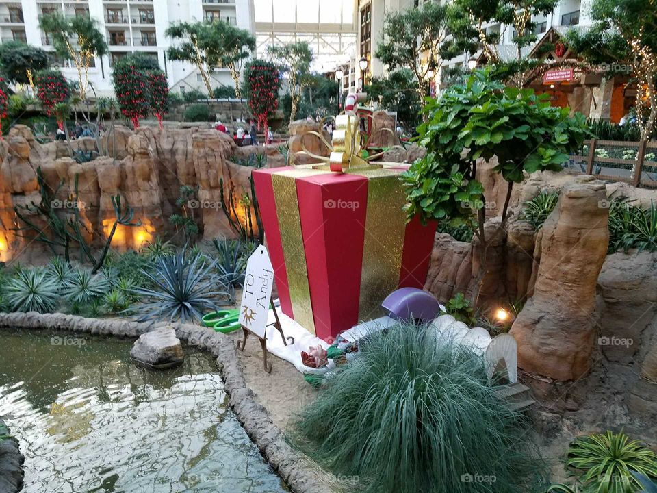 No Person, Tree, Garden, Flower, Dug Out Pool