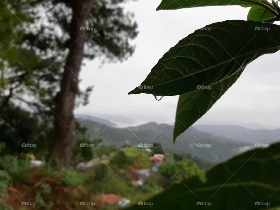 Cloudy Rainy afternoon.