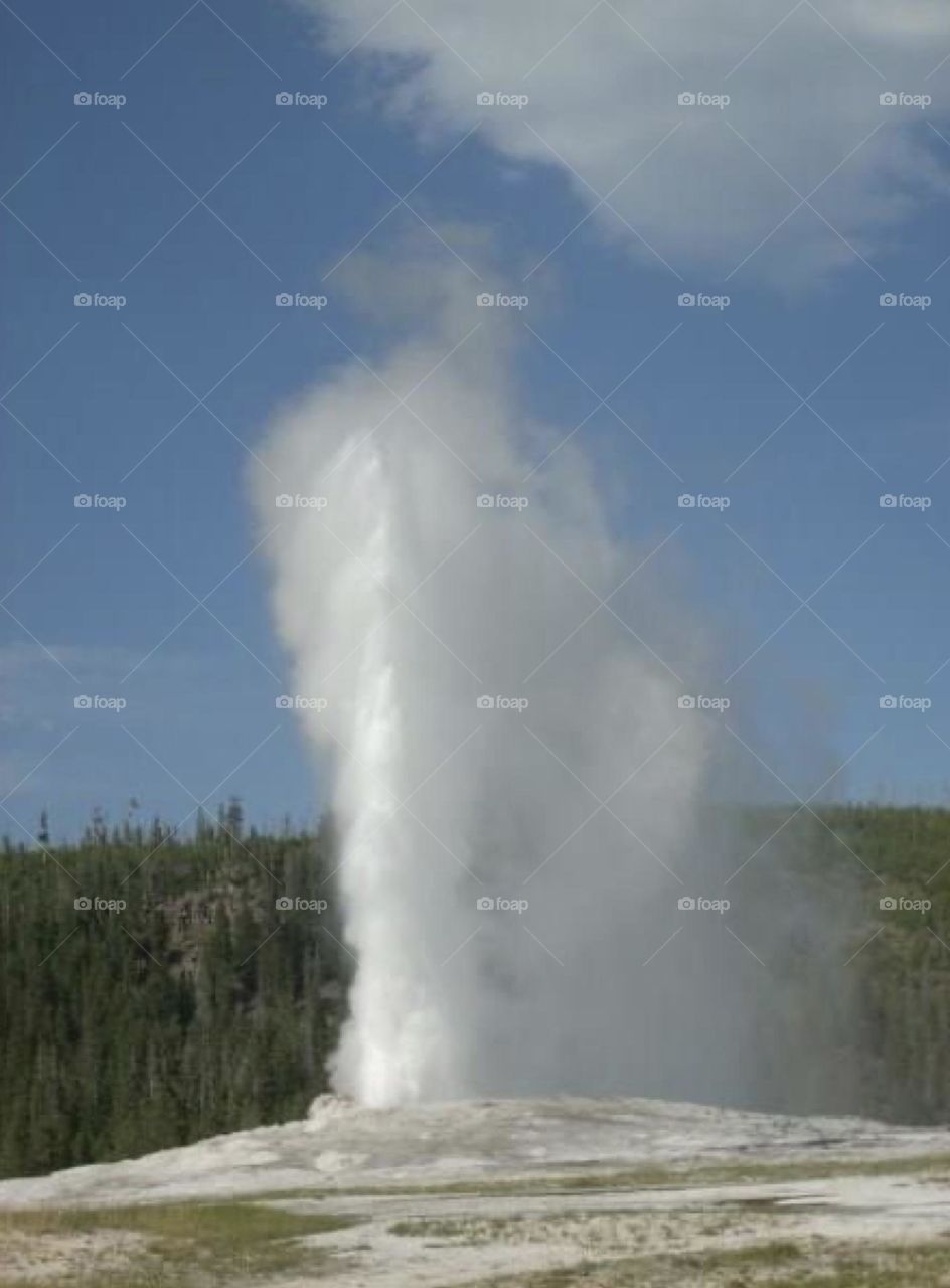 Old faithful 
