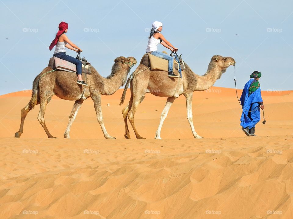 A walk across the desert