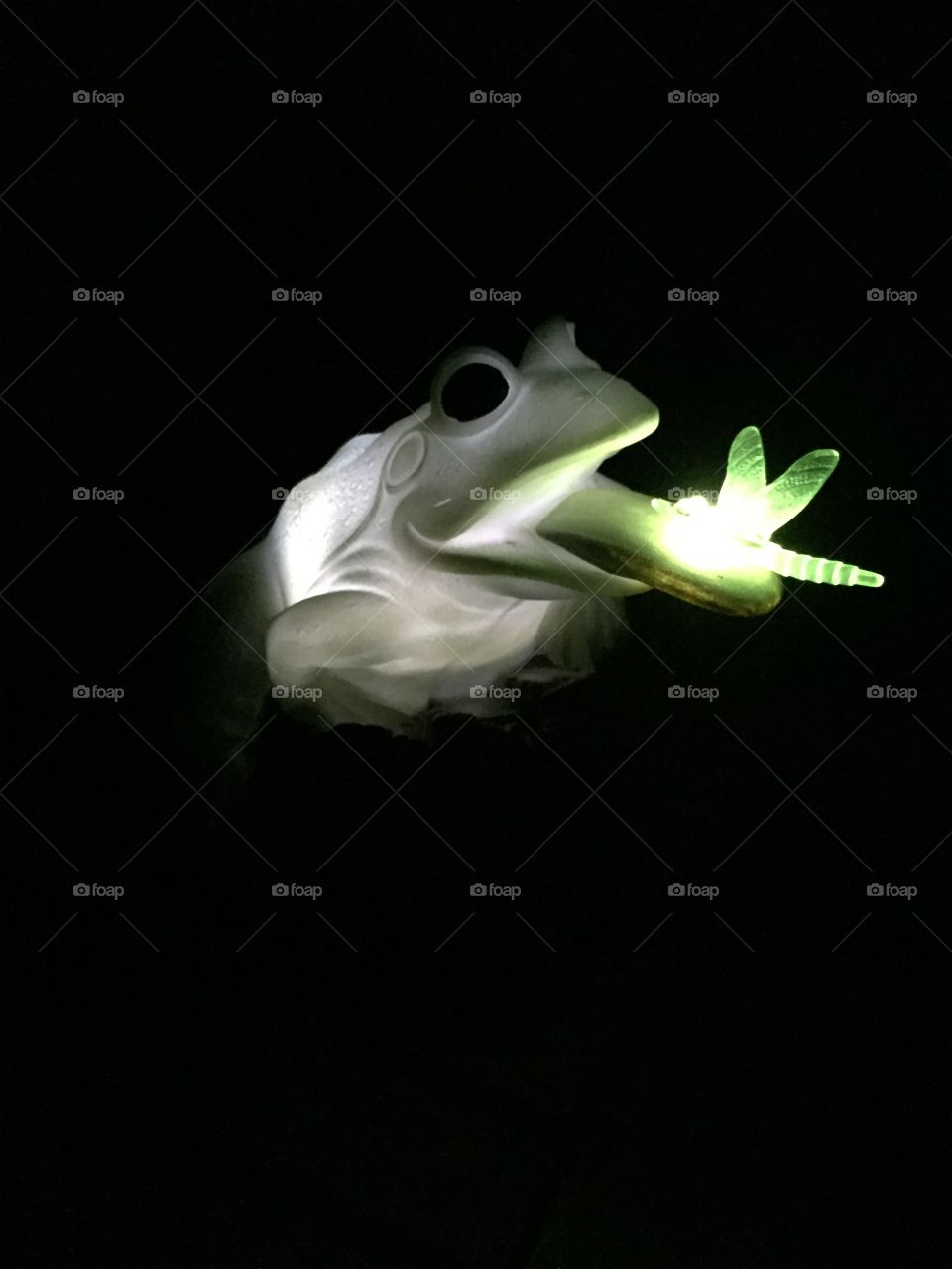 Solar frog. My froggy at night so pretty