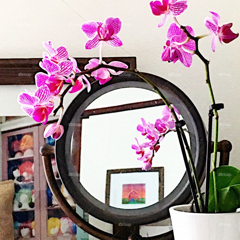 floral reflection 