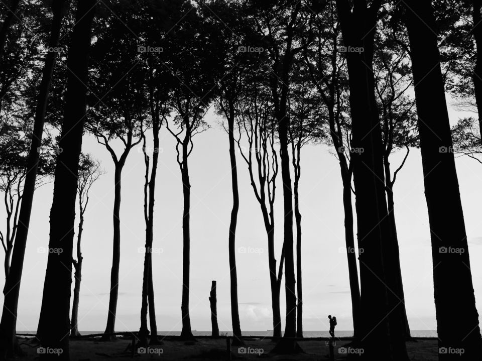 Lonely traveler between trees