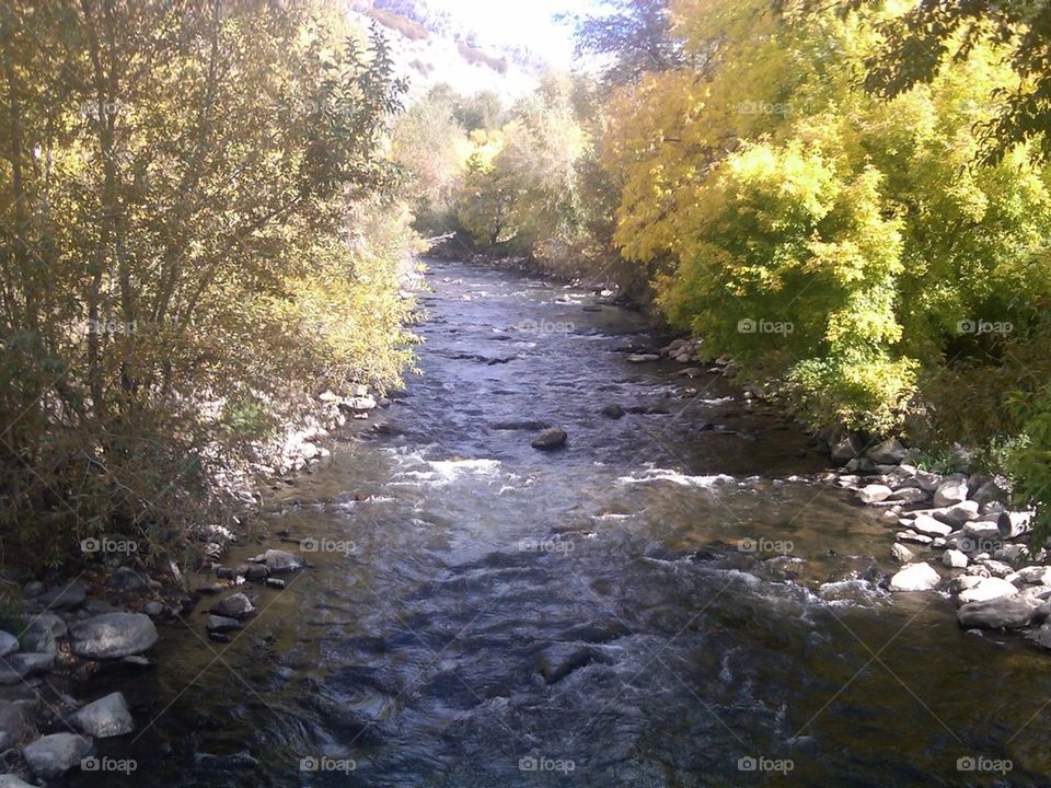 River during Fall