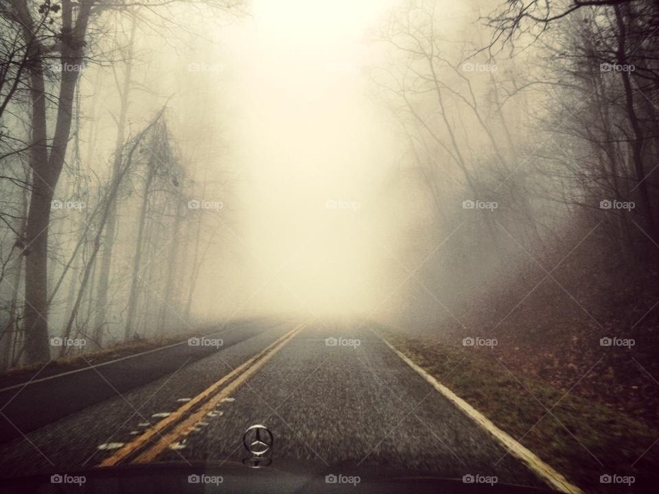  Mercedes in fog