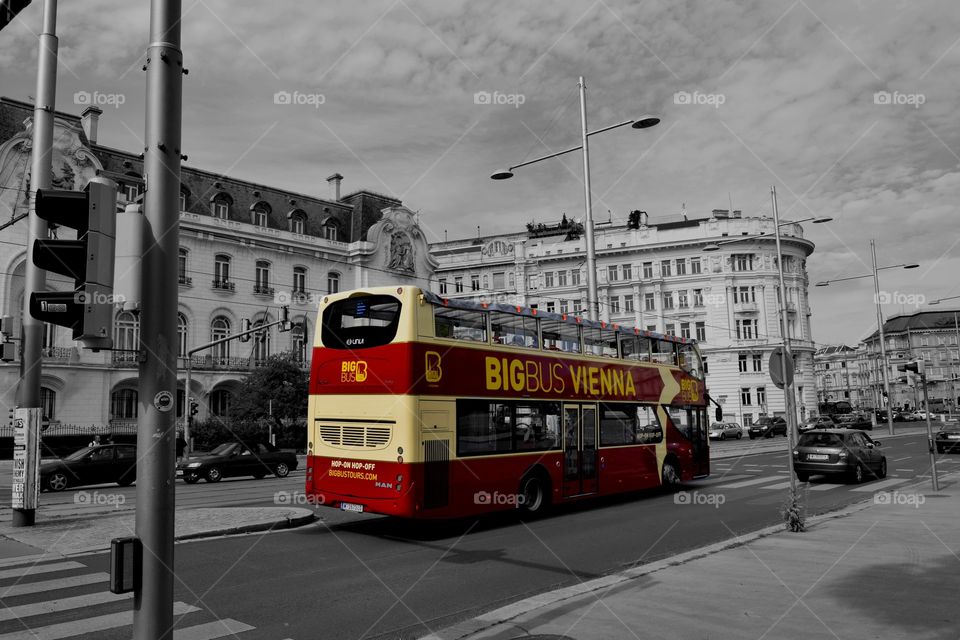 viennabus. bigbus in vienna