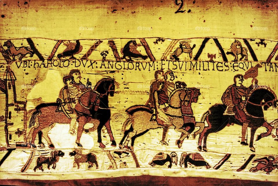 The bayeux tapestry