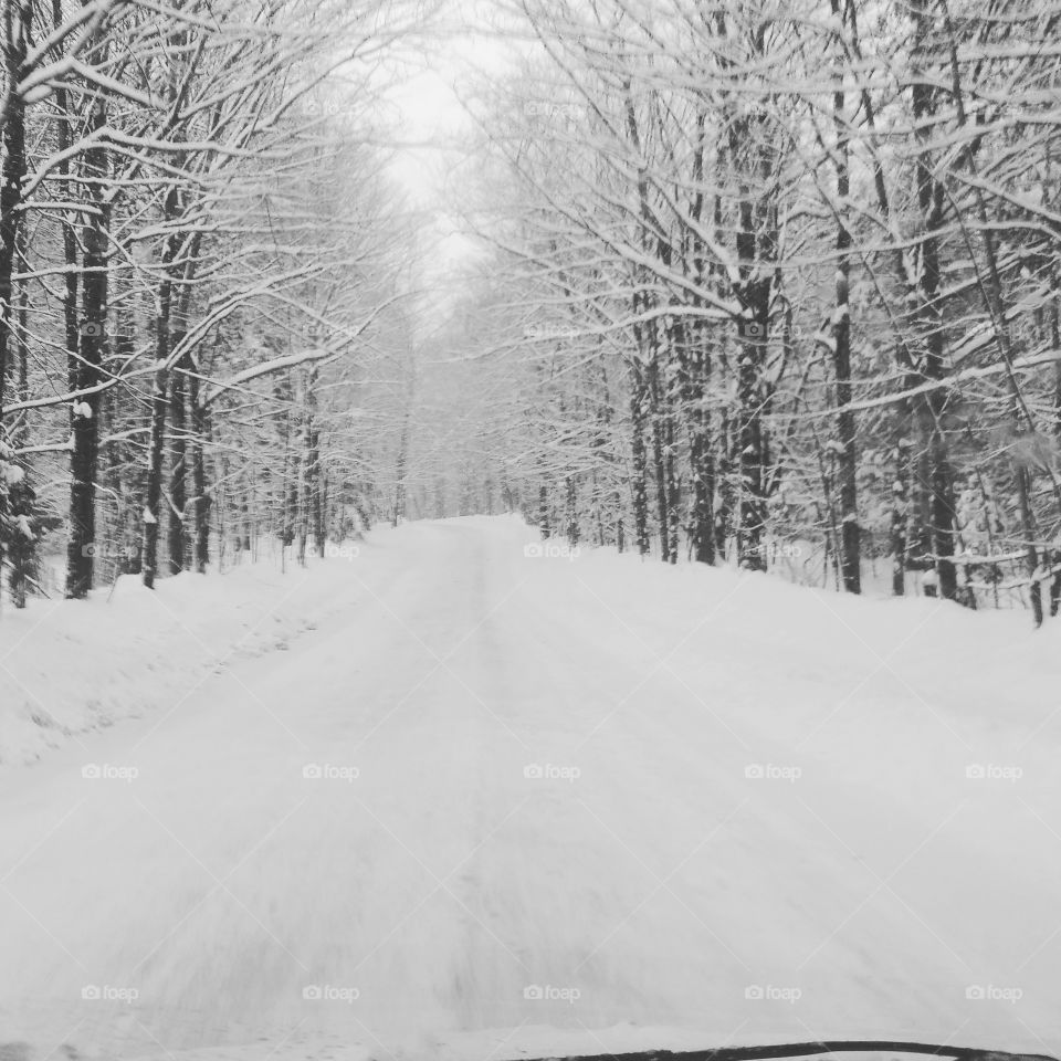 winter road in vermont