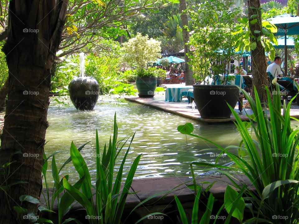 Relaxation . Lush Surroundings in Bangkok