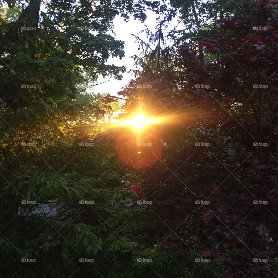 Yesterday's sunset run was a showstopper