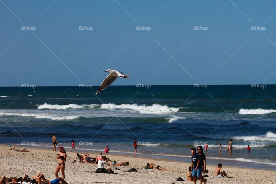 Surfers Paradise Beach