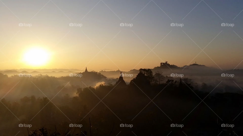 Light and shades of nature