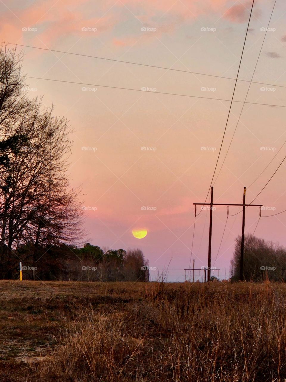 Moon Rising Over Field