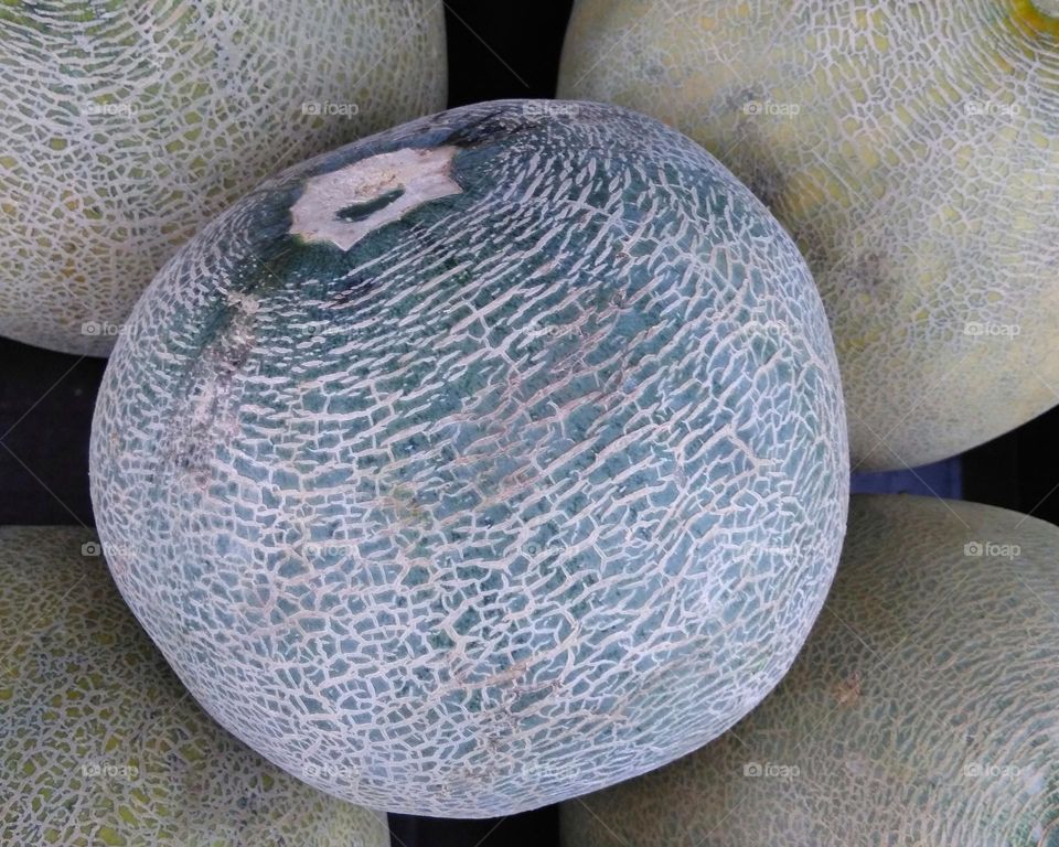 Fresh melon fruit on market