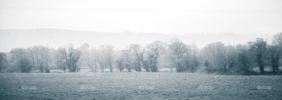 Fog, Winter, Mist, Landscape, Tree