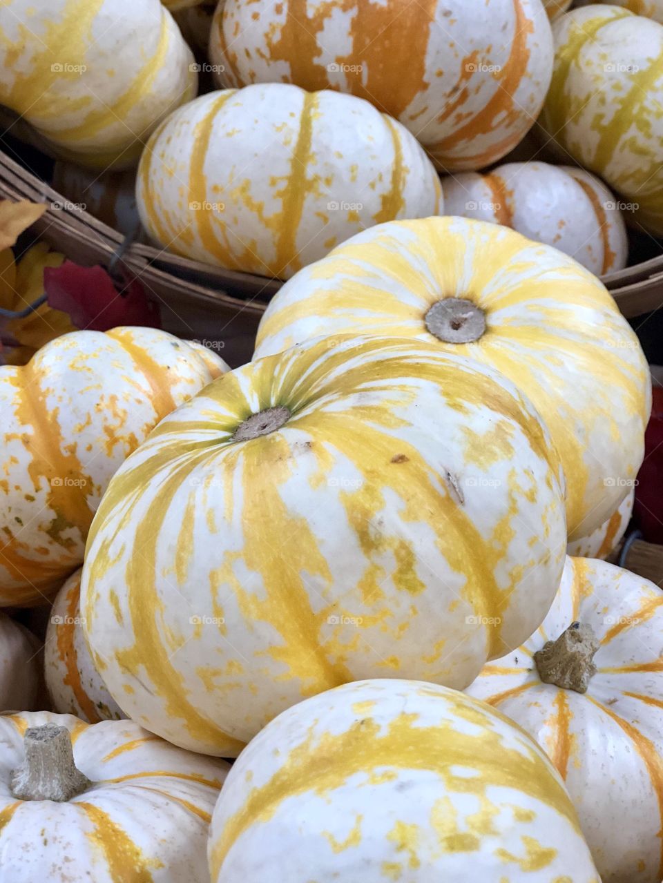 First Signs Of Autumn Foap Mission! Unique Stripped Pumpkins! 