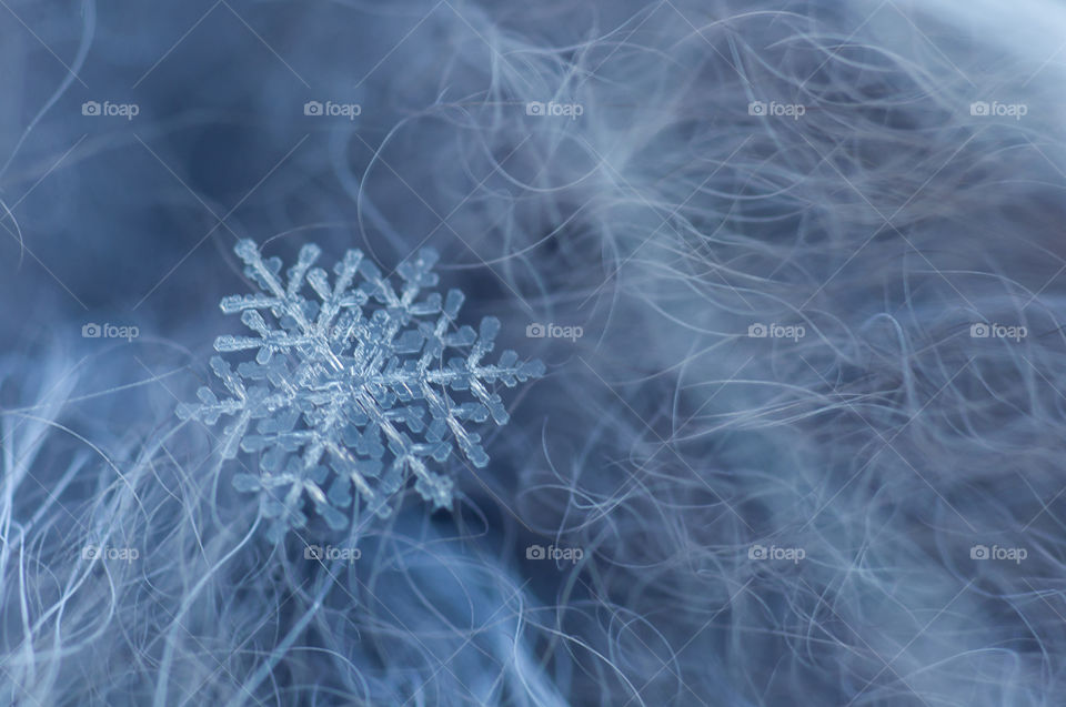 Snowflake on fur close up