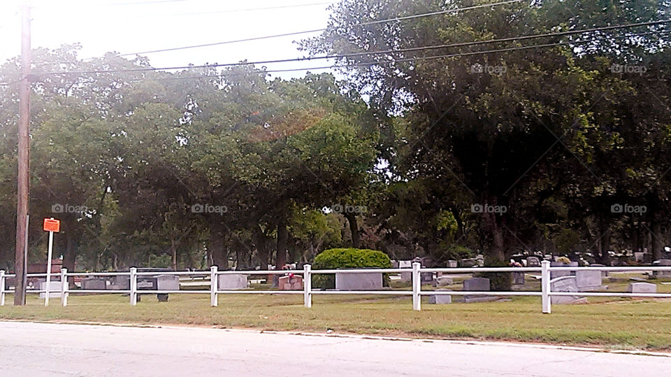 cemetary. this is the place people are dying to get into