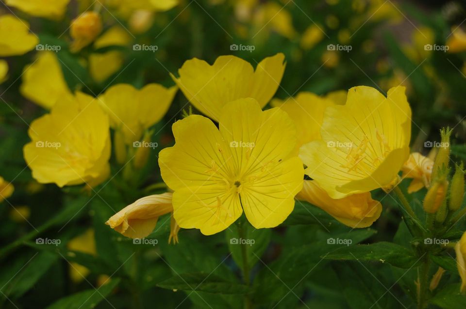 Love this colour of fun and sunshine!