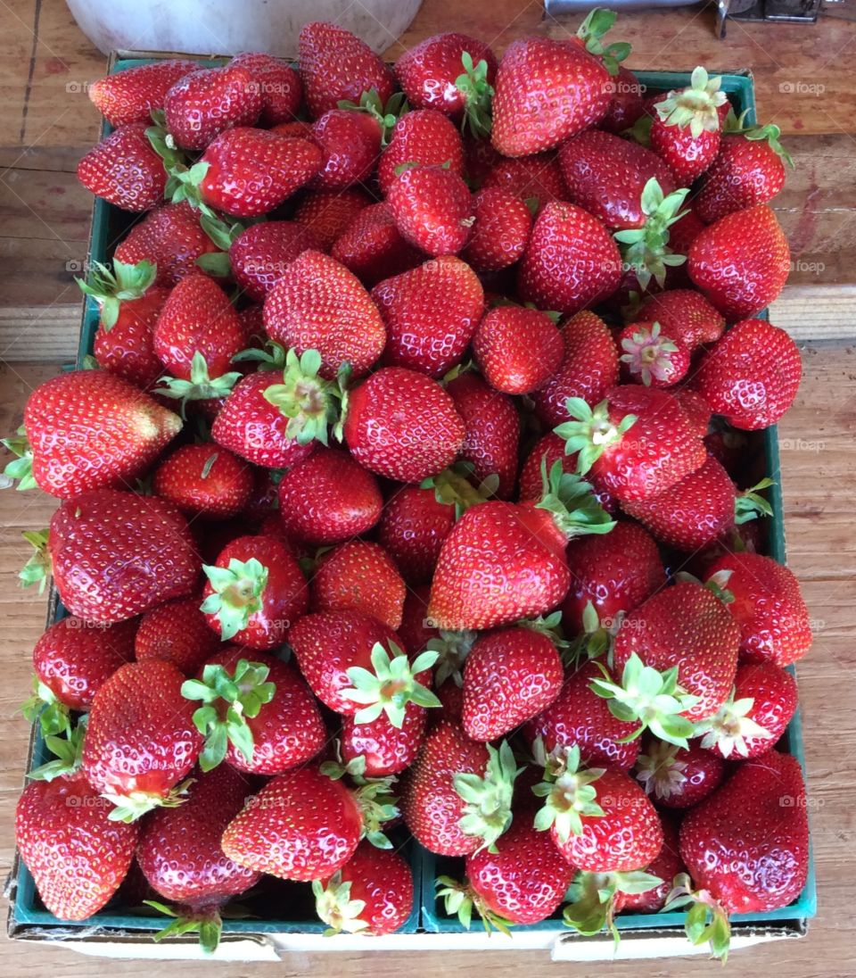 Just picked strawberries, Northern California. Just picked strawberries, Sacramento area, northern california