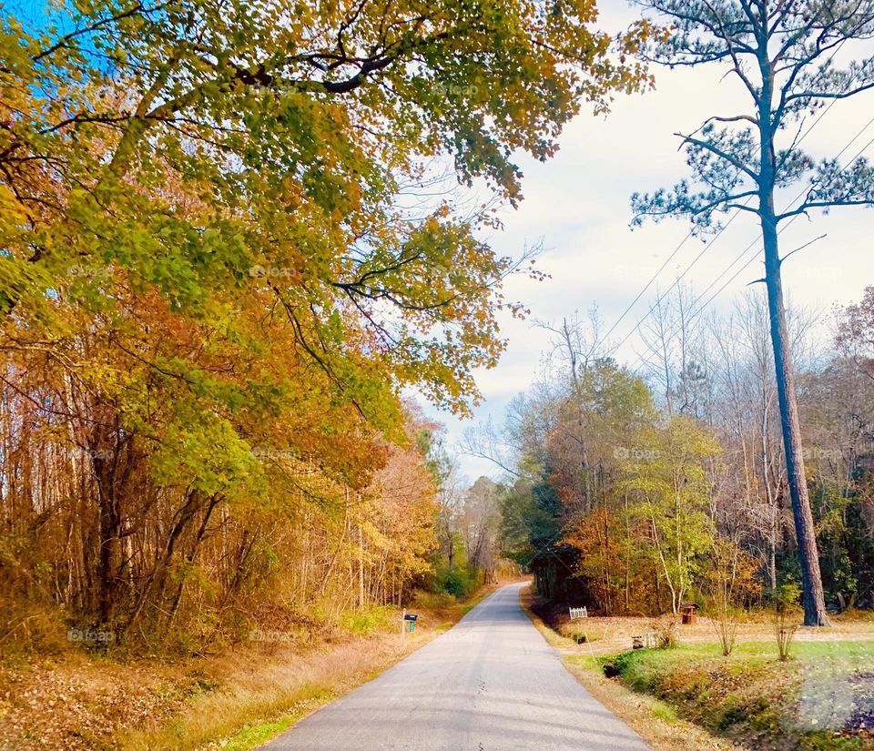 Rural Virginia 