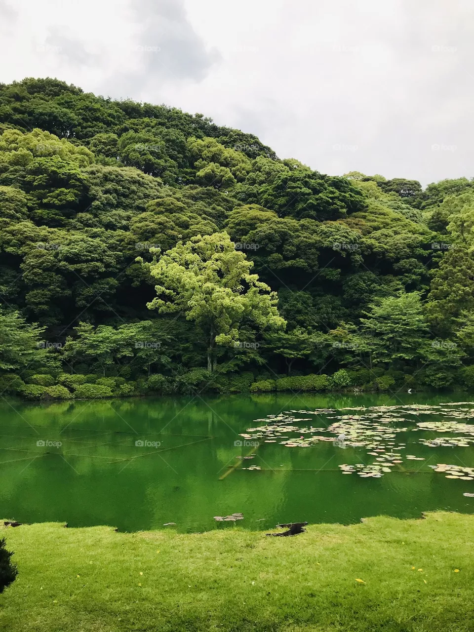 Umi jigoku japan
