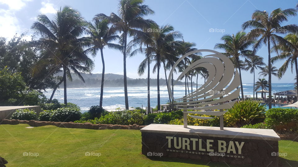 ocean view with Turtle Bay Logo