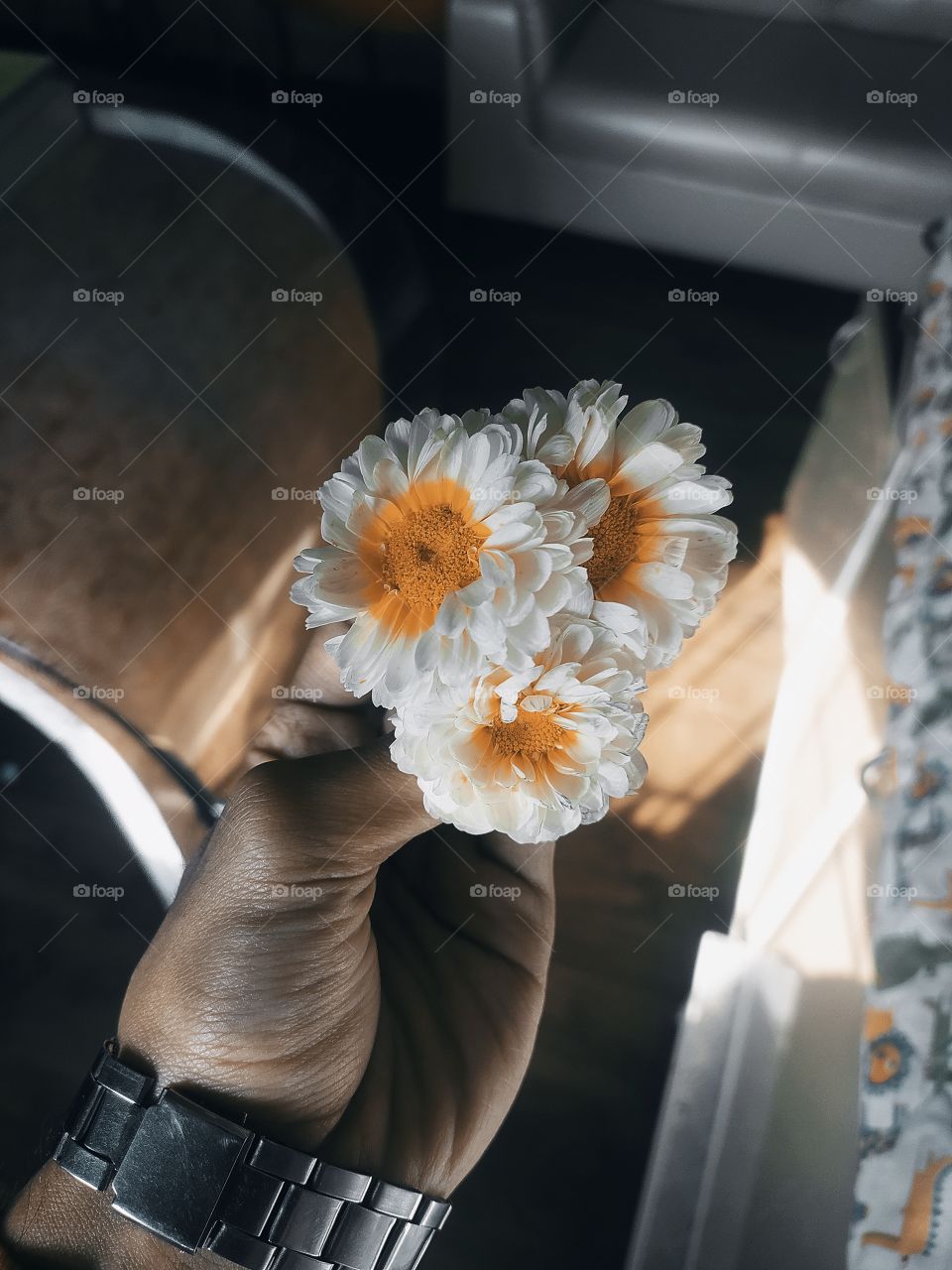 White Flowers shot on camera