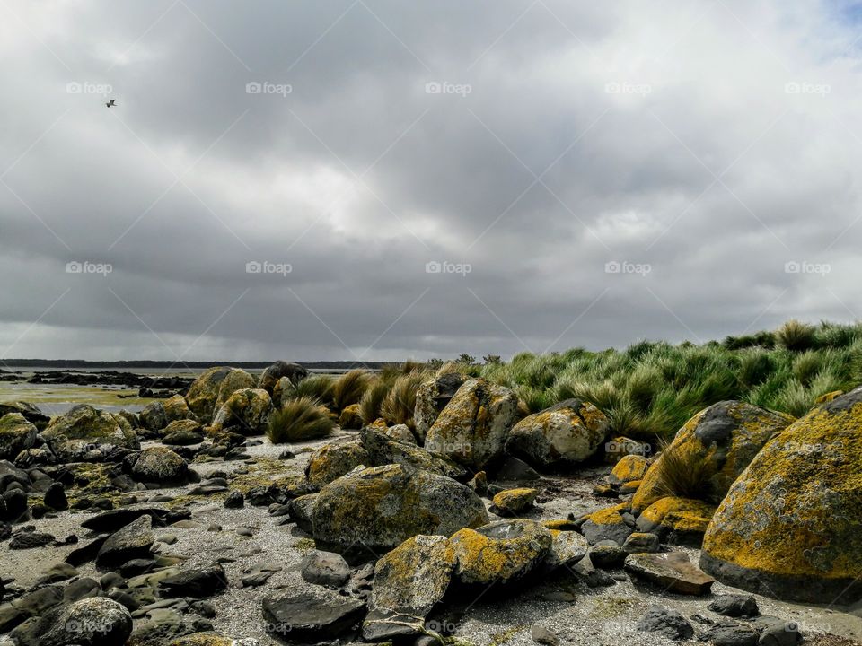 Howie Island