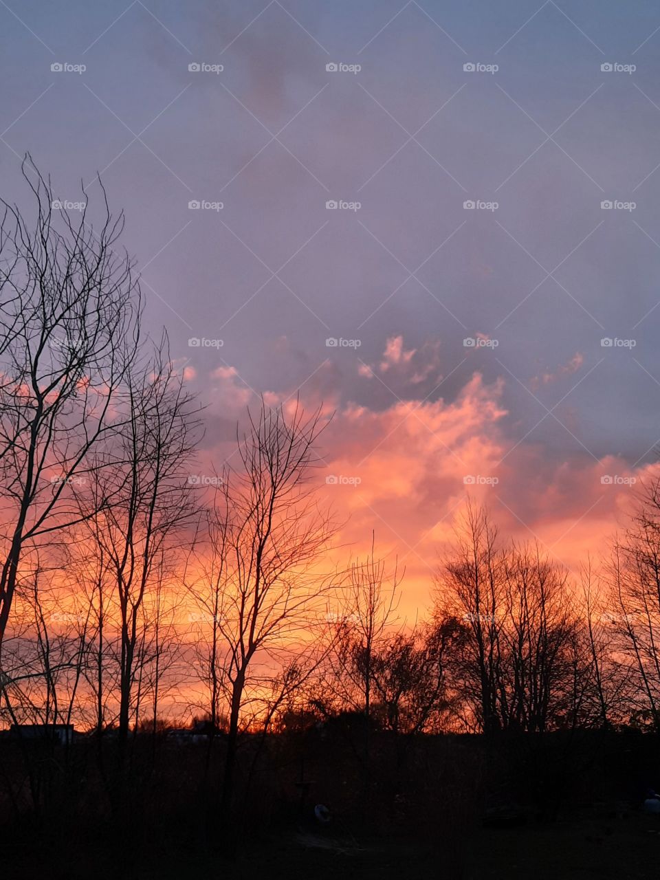 orange sunrise with black silhouettes of trees