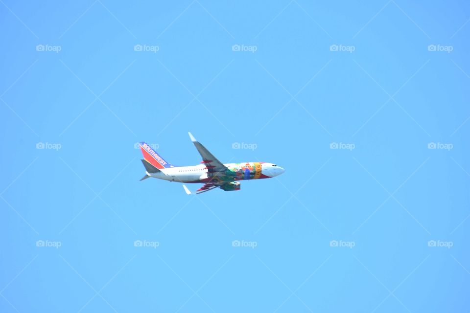 Soaring to the skies