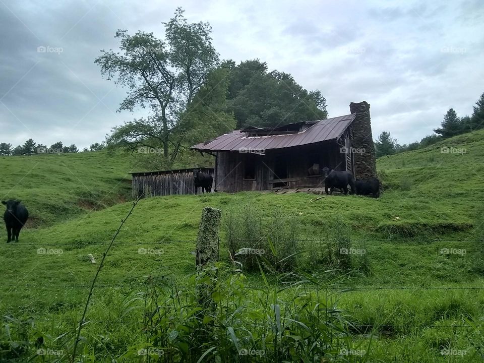 House that used to be