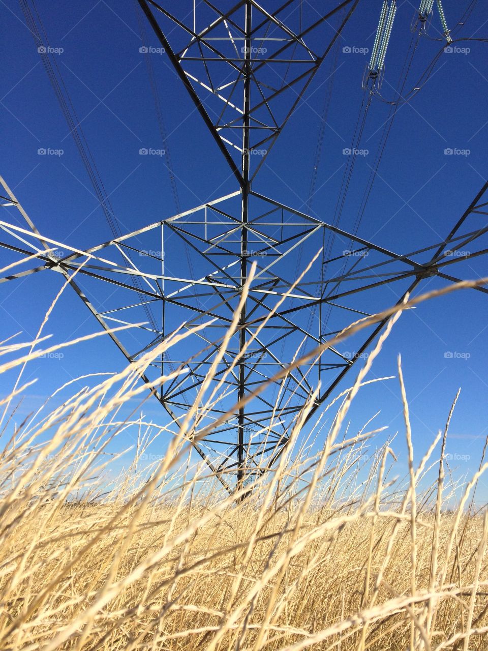 Base of a hydro tower seen through the prairie grass