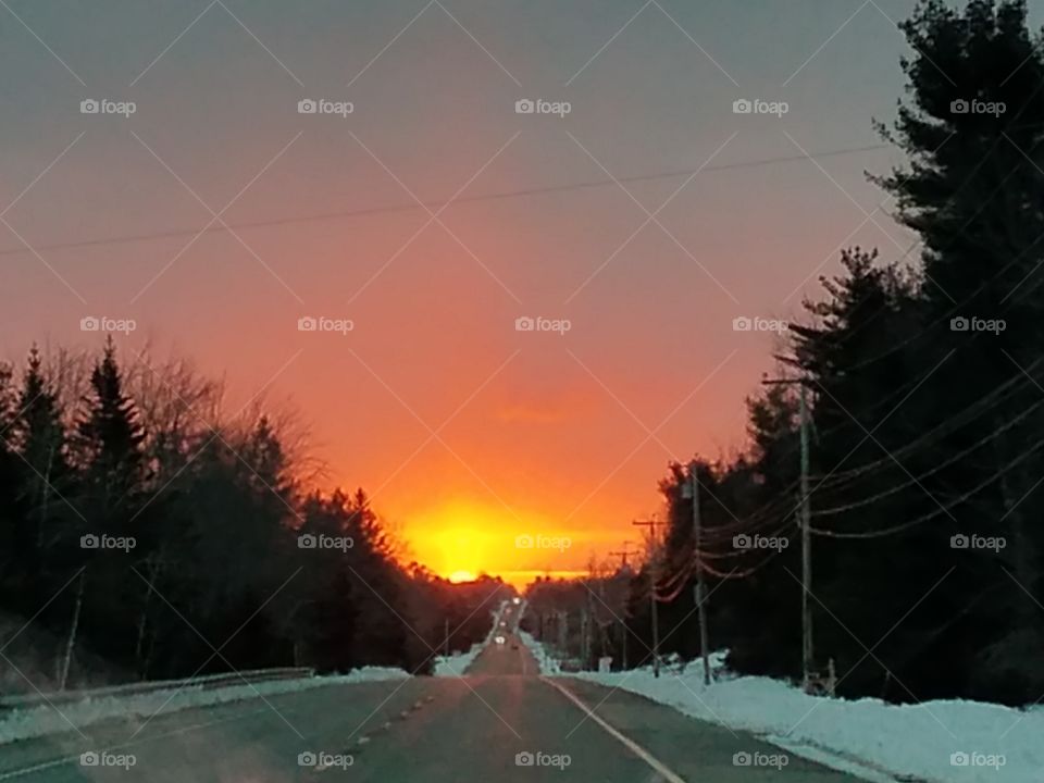 Snow, Landscape, Winter, Tree, Road