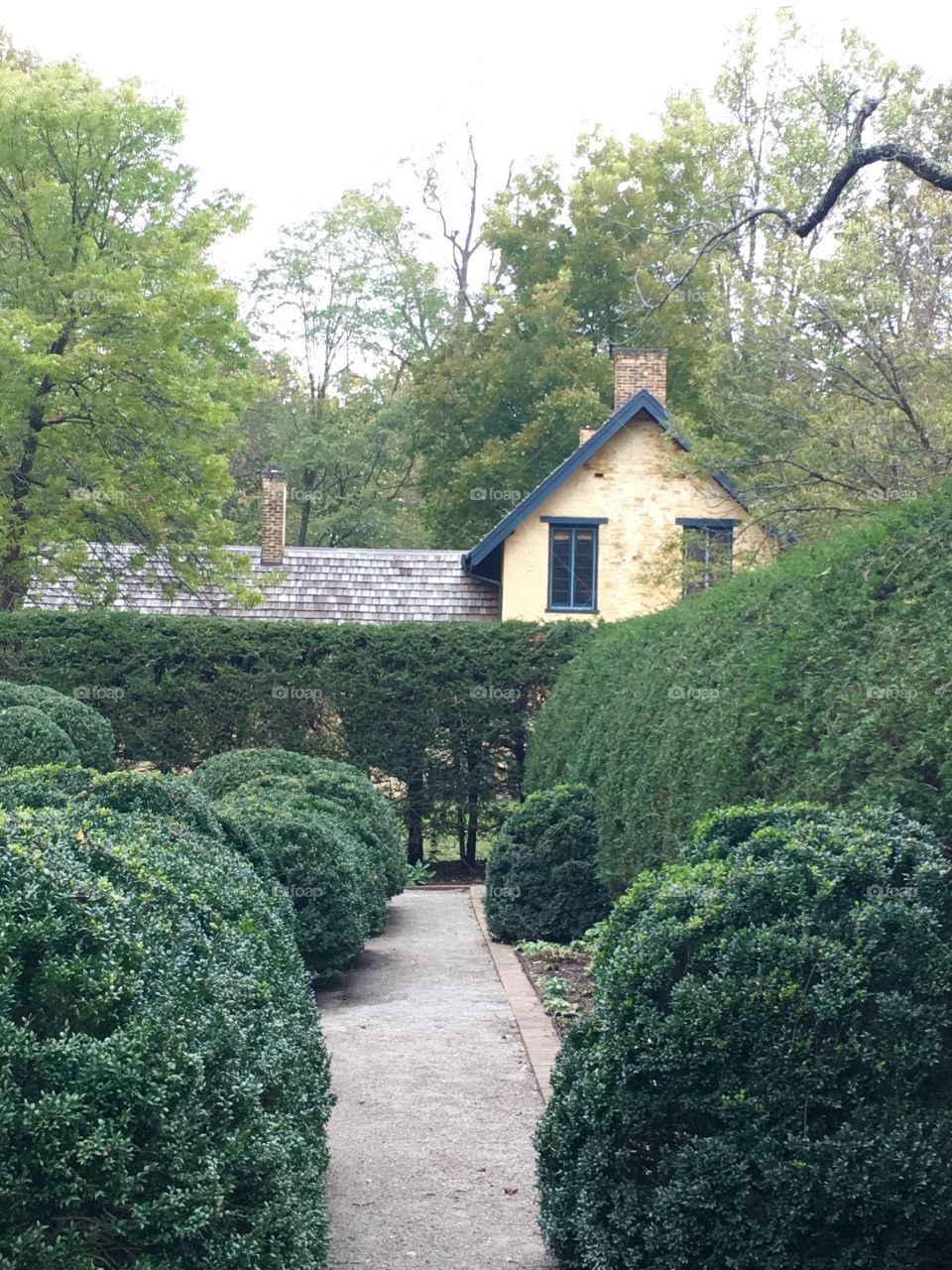 A house in the garden