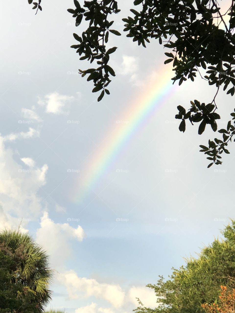 Rainbow after the storm